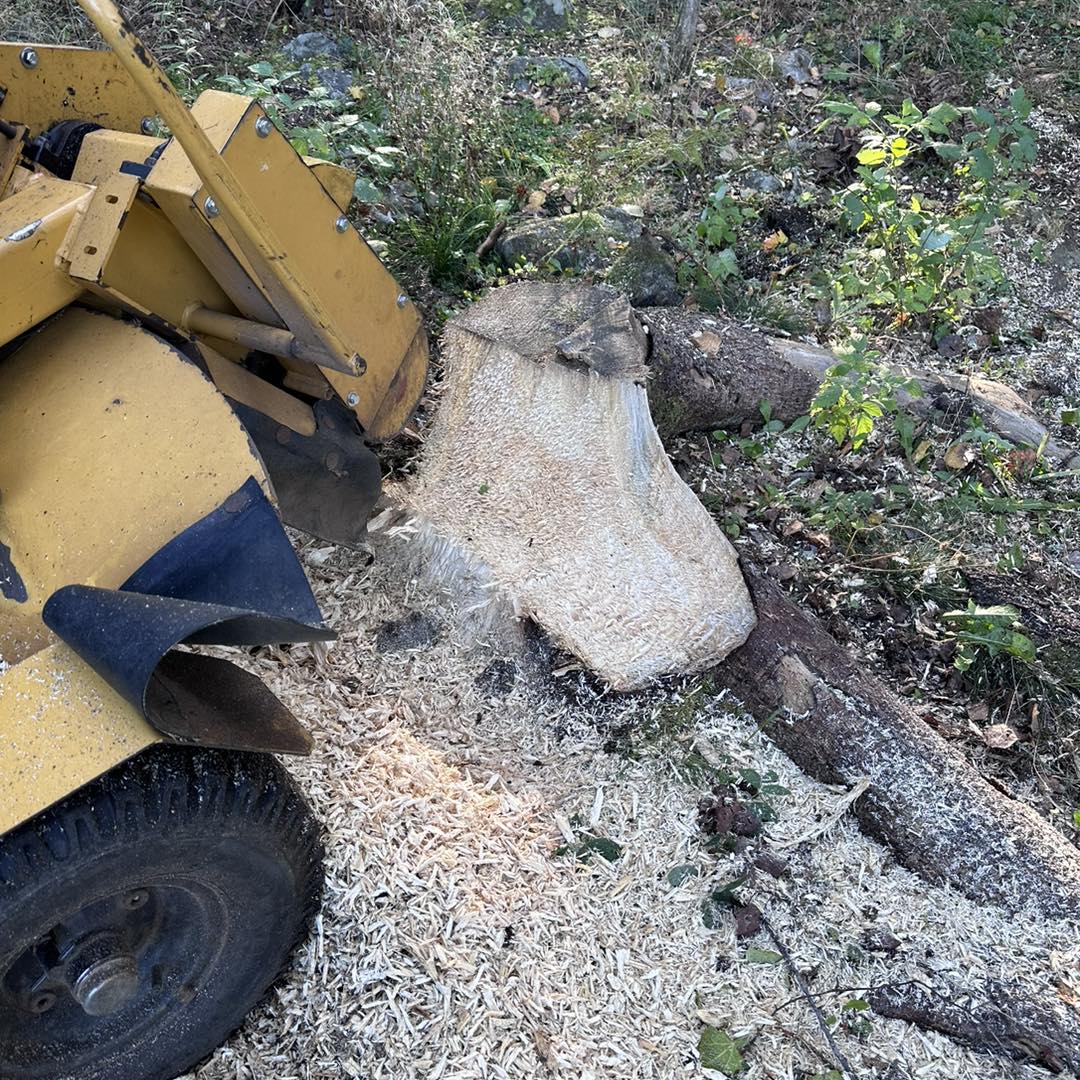 Stubbfräsning på svårtillgänglig plats i Östergötland